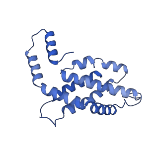31945_7veb_L_v1-1
Phycocyanin rod structure of cyanobacterial phycobilisome