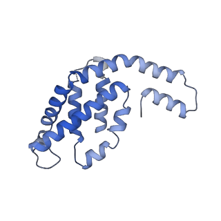 31945_7veb_M_v1-1
Phycocyanin rod structure of cyanobacterial phycobilisome