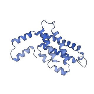 31945_7veb_N_v1-1
Phycocyanin rod structure of cyanobacterial phycobilisome