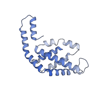 31945_7veb_O_v1-1
Phycocyanin rod structure of cyanobacterial phycobilisome
