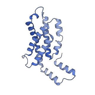 31945_7veb_P_v1-1
Phycocyanin rod structure of cyanobacterial phycobilisome