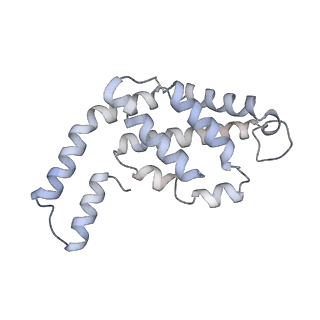 31945_7veb_Q_v1-1
Phycocyanin rod structure of cyanobacterial phycobilisome