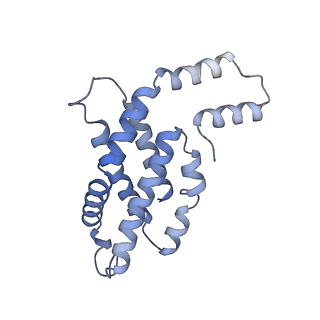31945_7veb_R_v1-1
Phycocyanin rod structure of cyanobacterial phycobilisome