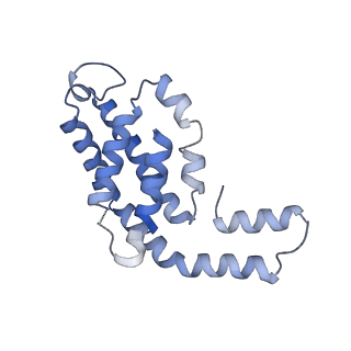 31945_7veb_S_v1-1
Phycocyanin rod structure of cyanobacterial phycobilisome
