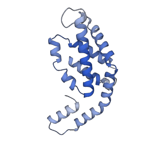 31945_7veb_U_v1-1
Phycocyanin rod structure of cyanobacterial phycobilisome