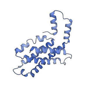 31945_7veb_V_v1-1
Phycocyanin rod structure of cyanobacterial phycobilisome
