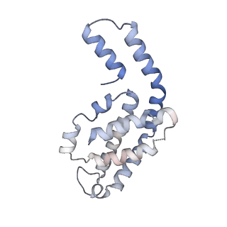 31945_7veb_W_v1-1
Phycocyanin rod structure of cyanobacterial phycobilisome