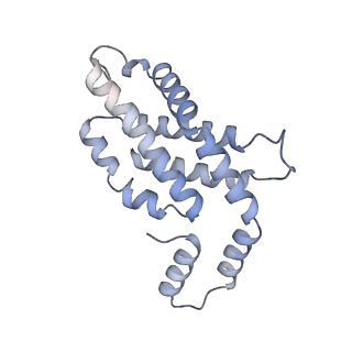 31945_7veb_X_v1-1
Phycocyanin rod structure of cyanobacterial phycobilisome