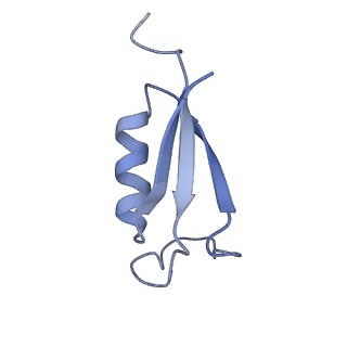 31945_7veb_Y_v1-1
Phycocyanin rod structure of cyanobacterial phycobilisome