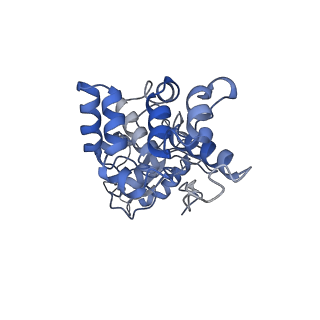 31945_7veb_Z_v1-1
Phycocyanin rod structure of cyanobacterial phycobilisome