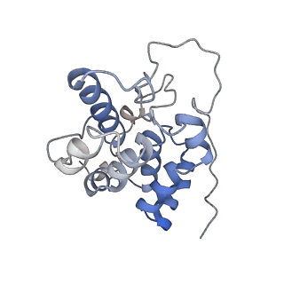31945_7veb_a_v1-1
Phycocyanin rod structure of cyanobacterial phycobilisome