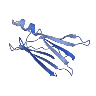 43160_8ve0_B_v1-1
Human transthyretin covalently modified with A2-derived stilbene in the compressed conformation