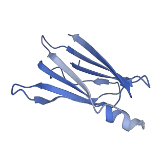 43160_8ve0_D_v1-1
Human transthyretin covalently modified with A2-derived stilbene in the compressed conformation