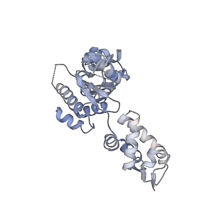 21187_6vfs_A_v1-1
ClpXP from Neisseria meningitidis - Conformation A