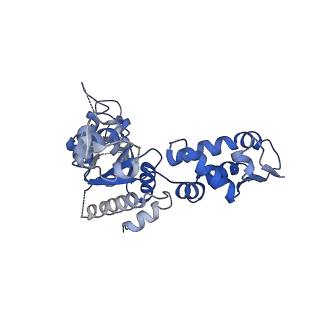 21187_6vfs_B_v1-1
ClpXP from Neisseria meningitidis - Conformation A