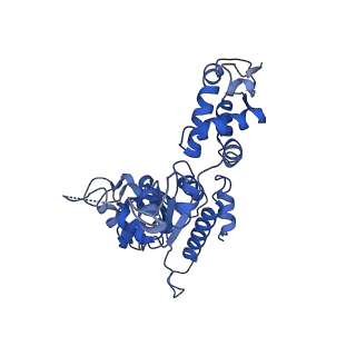 21187_6vfs_C_v1-1
ClpXP from Neisseria meningitidis - Conformation A