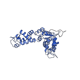 21187_6vfs_E_v1-1
ClpXP from Neisseria meningitidis - Conformation A