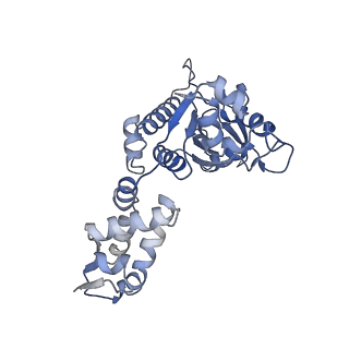 21187_6vfs_F_v1-1
ClpXP from Neisseria meningitidis - Conformation A