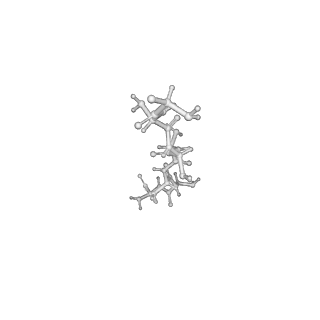 21187_6vfs_G_v1-1
ClpXP from Neisseria meningitidis - Conformation A