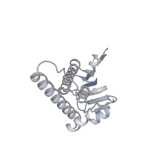 21187_6vfs_H_v1-1
ClpXP from Neisseria meningitidis - Conformation A