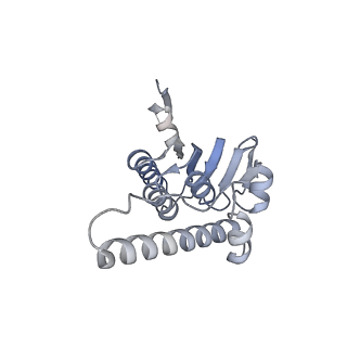 21187_6vfs_I_v1-1
ClpXP from Neisseria meningitidis - Conformation A