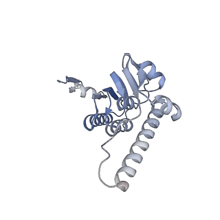 21187_6vfs_J_v1-1
ClpXP from Neisseria meningitidis - Conformation A