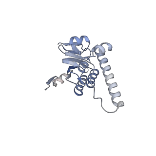 21187_6vfs_K_v1-1
ClpXP from Neisseria meningitidis - Conformation A