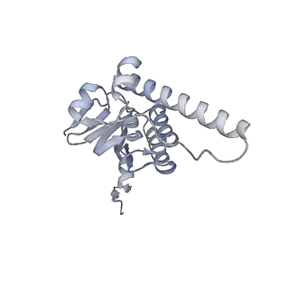 21187_6vfs_M_v1-1
ClpXP from Neisseria meningitidis - Conformation A