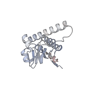 21187_6vfs_N_v1-1
ClpXP from Neisseria meningitidis - Conformation A