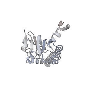 21187_6vfs_O_v1-1
ClpXP from Neisseria meningitidis - Conformation A