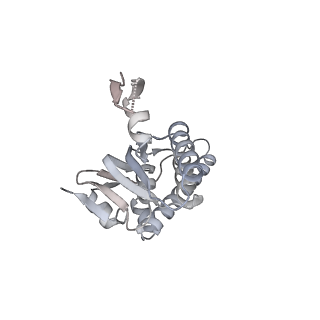 21187_6vfs_P_v1-1
ClpXP from Neisseria meningitidis - Conformation A