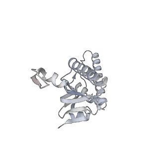 21187_6vfs_Q_v1-1
ClpXP from Neisseria meningitidis - Conformation A