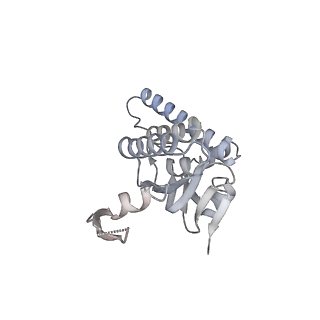 21187_6vfs_R_v1-1
ClpXP from Neisseria meningitidis - Conformation A