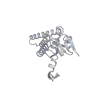 21187_6vfs_S_v1-1
ClpXP from Neisseria meningitidis - Conformation A