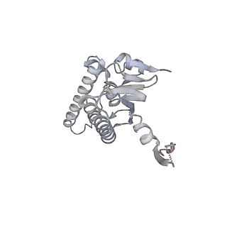 21187_6vfs_T_v1-1
ClpXP from Neisseria meningitidis - Conformation A