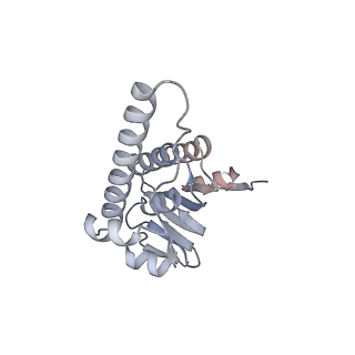 21187_6vfs_U_v1-1
ClpXP from Neisseria meningitidis - Conformation A