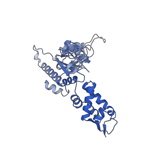 21194_6vfx_A_v1-1
ClpXP from Neisseria meningitidis - Conformation B