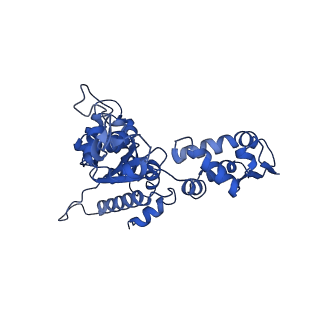 21194_6vfx_B_v1-1
ClpXP from Neisseria meningitidis - Conformation B