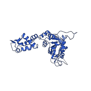 21194_6vfx_E_v1-1
ClpXP from Neisseria meningitidis - Conformation B