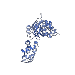 21194_6vfx_F_v1-1
ClpXP from Neisseria meningitidis - Conformation B