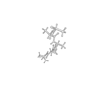 21194_6vfx_G_v1-1
ClpXP from Neisseria meningitidis - Conformation B