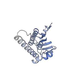 21194_6vfx_H_v1-1
ClpXP from Neisseria meningitidis - Conformation B