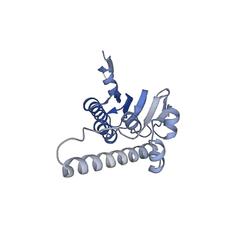 21194_6vfx_I_v1-1
ClpXP from Neisseria meningitidis - Conformation B