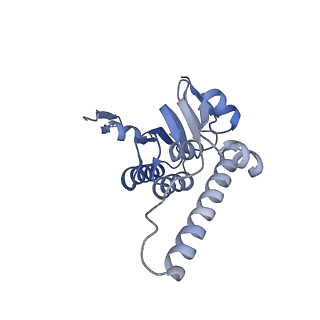 21194_6vfx_J_v1-1
ClpXP from Neisseria meningitidis - Conformation B