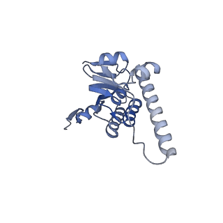 21194_6vfx_K_v1-1
ClpXP from Neisseria meningitidis - Conformation B