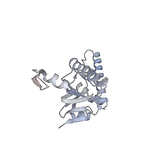 21194_6vfx_Q_v1-1
ClpXP from Neisseria meningitidis - Conformation B