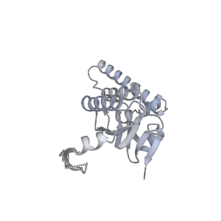 21194_6vfx_R_v1-1
ClpXP from Neisseria meningitidis - Conformation B