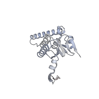 21194_6vfx_S_v1-1
ClpXP from Neisseria meningitidis - Conformation B