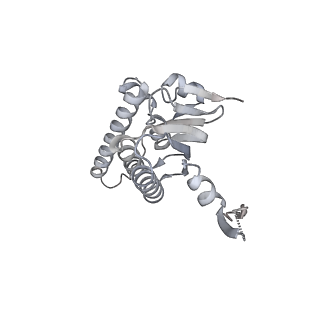 21194_6vfx_T_v1-1
ClpXP from Neisseria meningitidis - Conformation B