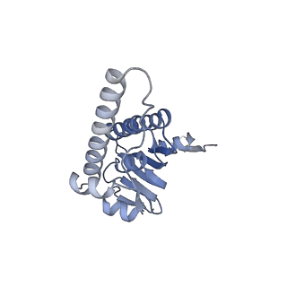 21194_6vfx_U_v1-1
ClpXP from Neisseria meningitidis - Conformation B